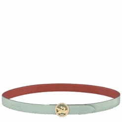 Longchamp Box-Trot Ladies' Belt Mahagony/Green-gray - Leather -Longchamp 40063HAUH91 2