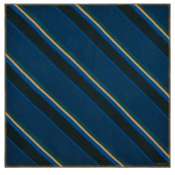 Front Page 11 Longchamp Le Pliage Paddock Stole Cobalt - OTHER