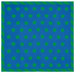 Longchamp Le Pliage Casaque Stole Cobalt/Lawn - OTHER